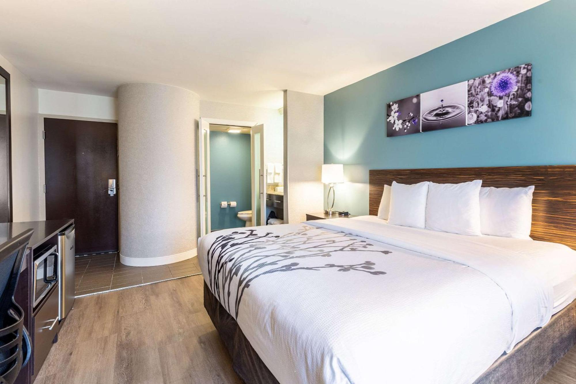 King Room with Gulf View - Non-Smoking,1661660761:JPEG