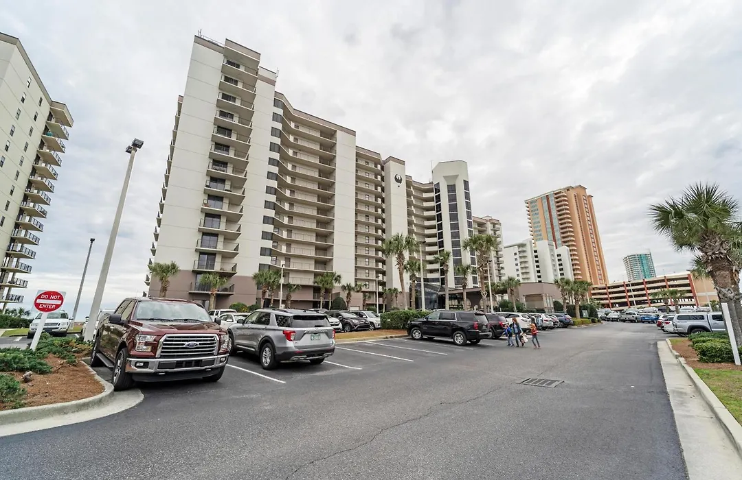 Phoenix VII 7911 By Liquid Life-1